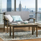 PEYTON LOVE SEAT + COFFEE TABLE